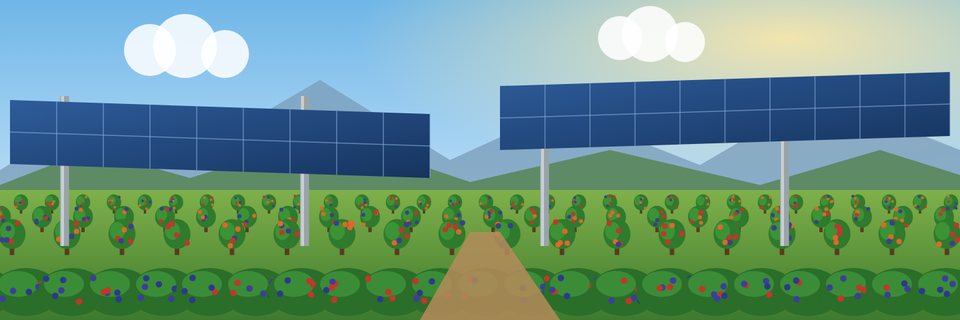 Imagen ilustrativa: hileras de frutales y arbustos de berries creciendo bajo estructuras solares elevadas, con montañas al fondo.